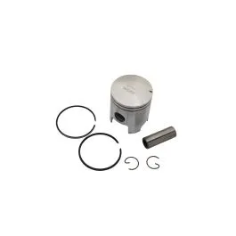 AIRSAL 060224476 PISTON PEU BUXY