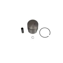 AIRSAL 060255476 PISTON PEU LUDIX