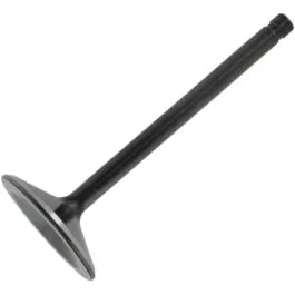 KIBBLEWHITE 20-20055 VALVE BLACK DIAMOND INTAKE