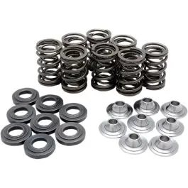 KIBBLEWHITE 82-83300 SPRING KIT VALVE TI RZR