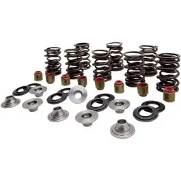 KIBBLEWHITE 82-83400 SPRING KIT VALVE TI RZR