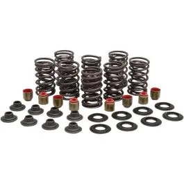KIBBLEWHITE 82-83000 SPRING KIT VALVE STL RZR