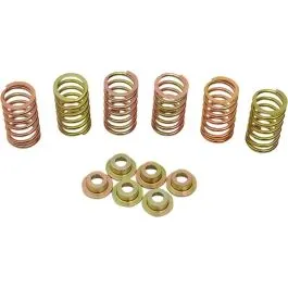 BARNETT 505-44-06090 CLUTCH SPRING KIT DUCATI