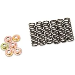 BARNETT 505-42-06031 CLUTCH SPRING KIT SET OF 6