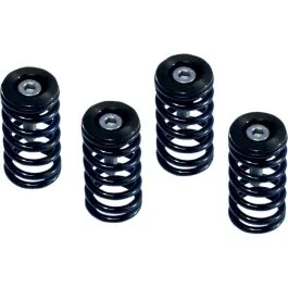 BARNETT 519-25-06095 CLUTCH SPRING KIT DUCATI RED SET OF 6