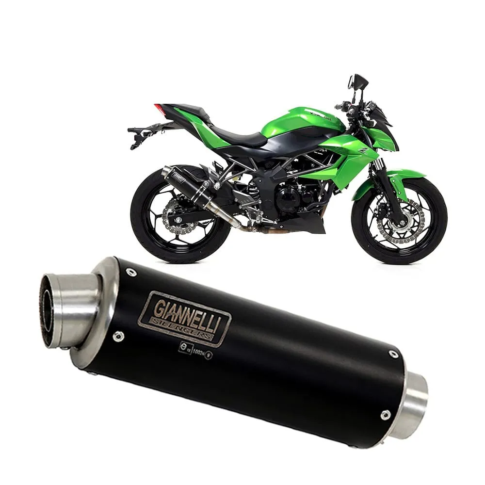 Terminale Scarico Giannelli Xpro Acciaio Inox Nero Kawasaki Z 250 Sl 2015 > 2016-73556XP-107012