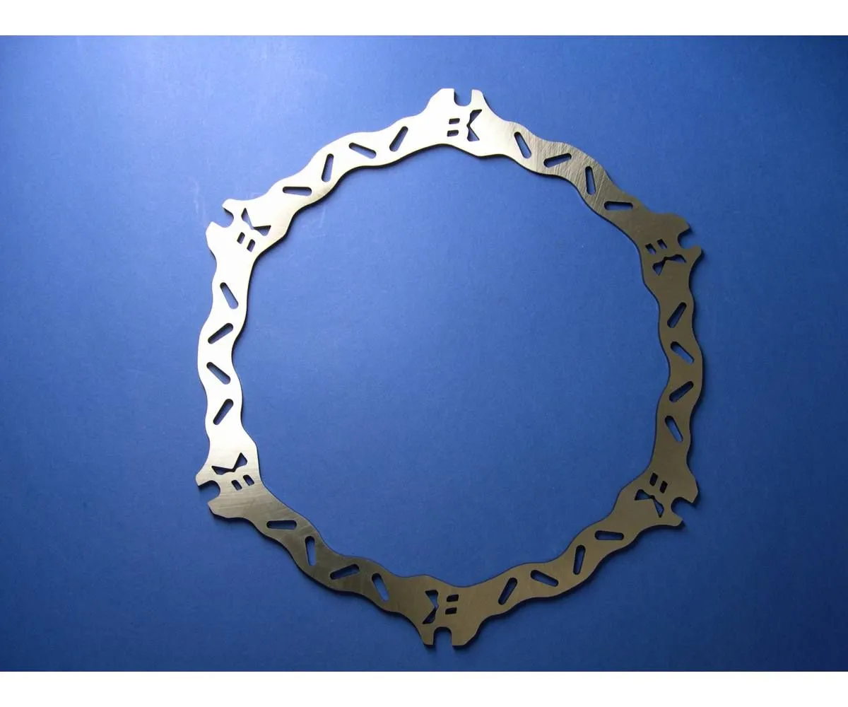 Bl02fid Disco Freno Anteriore Dx Braking Sk2 Per Buell 1125 Cr 2008 > 2009-BL02FID-113468